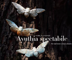 Brooch | Cicada | Ceramic | Wings of Metamorphosis