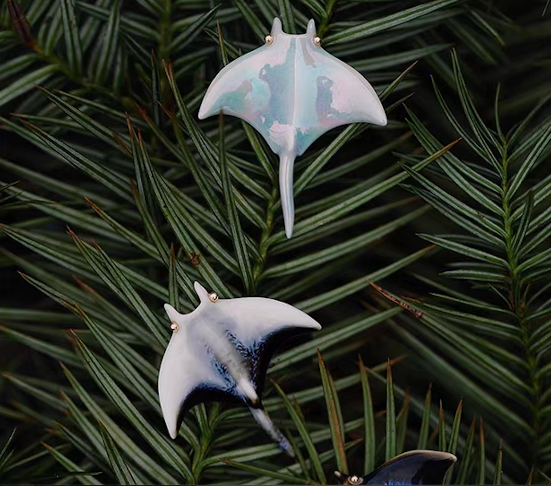 Brooch | Handcrafted Ceramic | 魔鬼鱼 | 彩色 | 遨游之翼