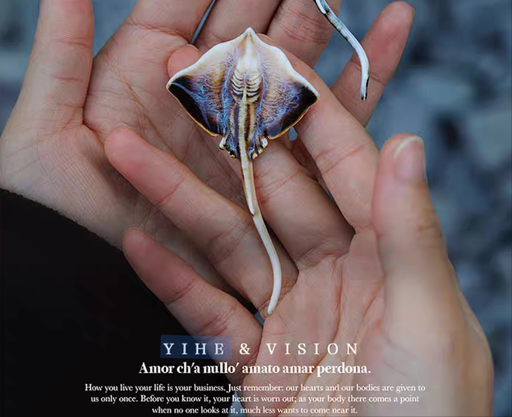 Brooch | Handcrafted Ceramic | 鳐鱼 | 遨游之翼