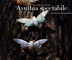 Brooch | Cicada | Ceramic | Wings of Metamorphosis