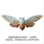 Brooch | Cicada | Ceramic | Wings of Metamorphosis