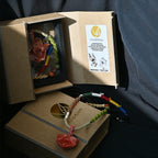 Signature Gift Box | C