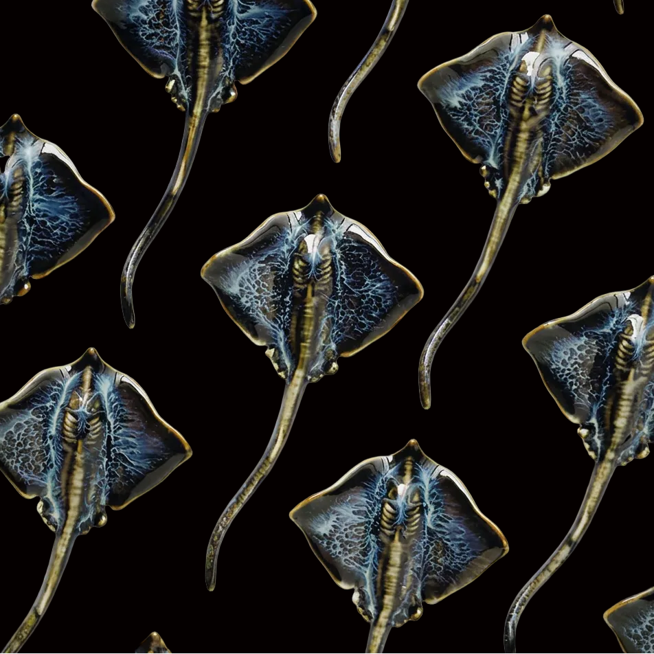 Brooch | Rippled Ray | Ceramic | Wings of the Deep