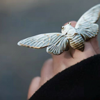Brooch | Cicada | Ceramic | Wings of Metamorphosis
