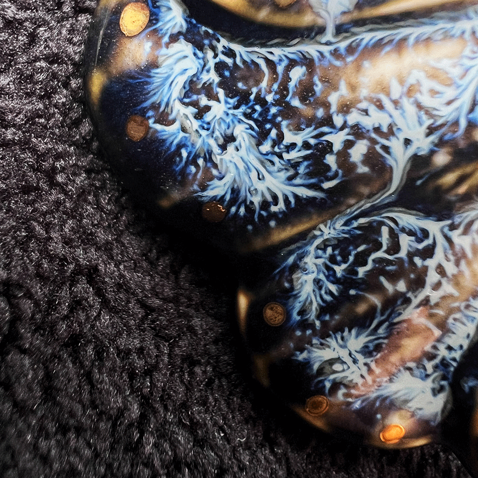 Brooch | Handcrafted Ceramic | 蓝凌蛾 | 蜕变之翼