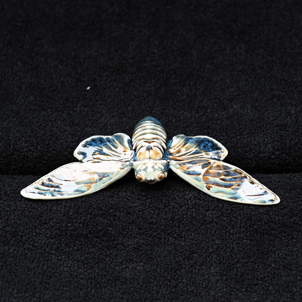 Brooch | Handcrafted Ceramic | 蝉 | 蜕变之翼