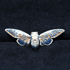 Brooch | Cicada | Ceramic | Wings of Metamorphosis