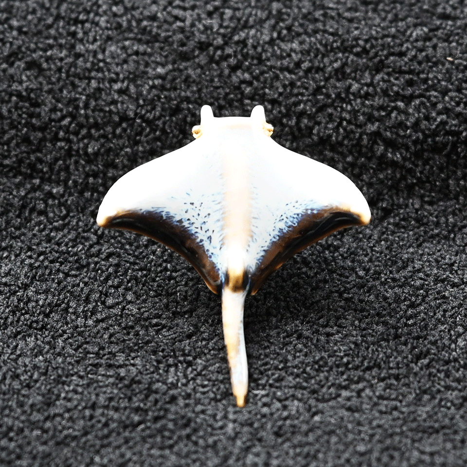 Brooch | Handcrafted Ceramic | 魔鬼鱼 | 彩色 | 遨游之翼