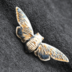 Brooch | Cicada | Ceramic | Wings of Metamorphosis