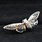 Brooch | Cicada | Ceramic | Wings of Metamorphosis
