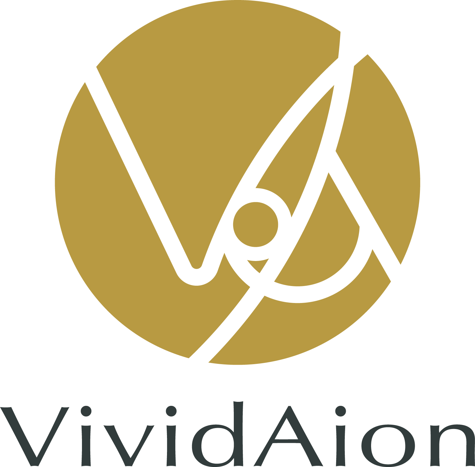 VIVIDAION