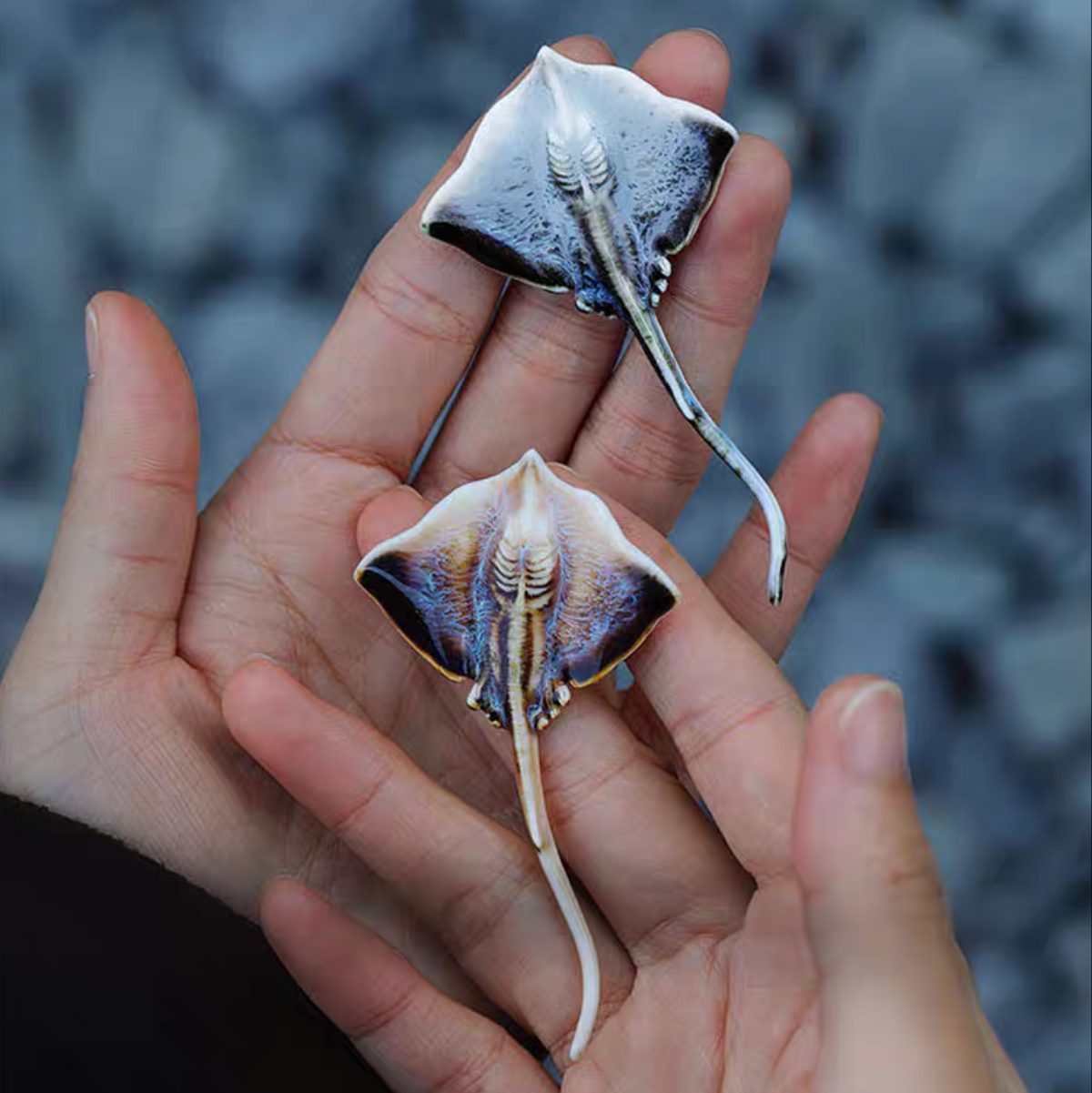 Brooch | Rippled Ray | Ceramic | Wings of the Deep